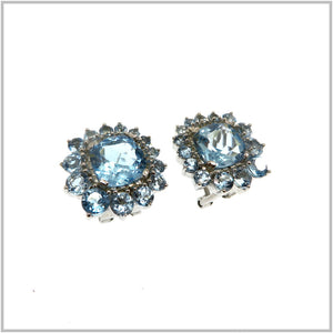 AN5.91 Blue Topaz Sterling Silver Earrings