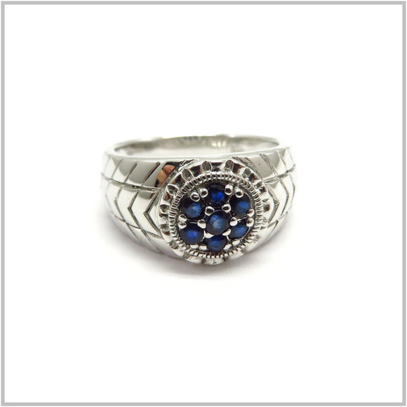 AN8.290 Blue Sapphire Ring Sterling Silver