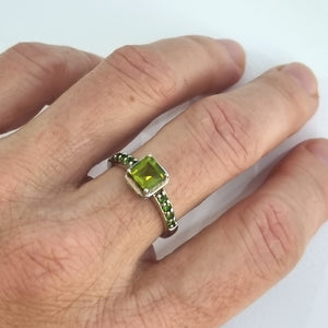 HG29.209 Peridot and Chrome Diopside Ring