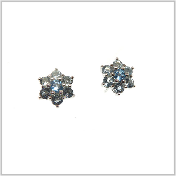 HG31.8 Blue Topaz Stud Earrings Sterling Silver