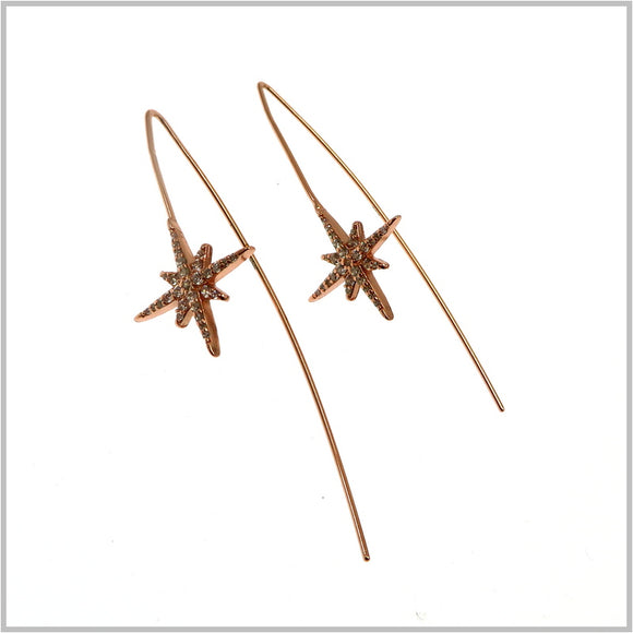 PS10.133 Rose Gold Plated Earrings