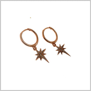 PS10.84 Rose Gold Plated Earrings